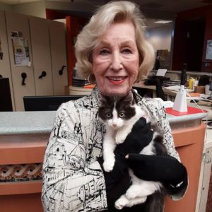 grandma adopted kitten with gloves ongrand