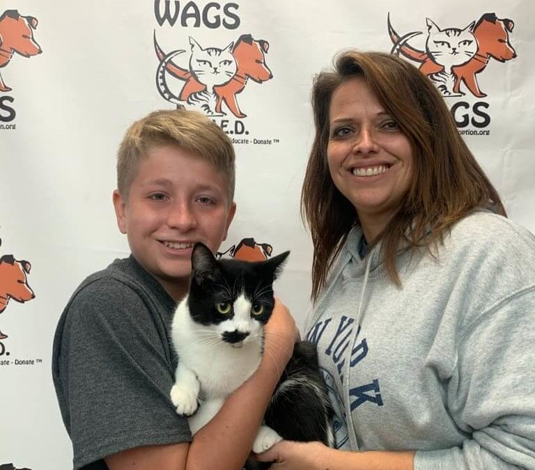 son and mom adopted otto cat purfect match