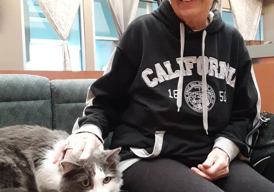 dart got adopted by grandma wearing california jacket
