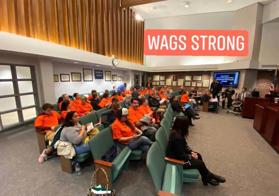 WAGS Strong volunteer orange shirt support WAGS