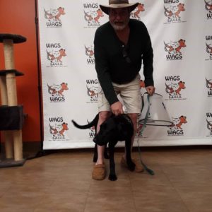 black dog adopted by man with black sweater and hat cowboy like