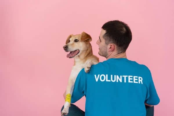 Be a Volunteer with WAGS!